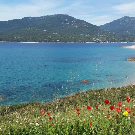 Studio T1 Bis Vue Mer Propriano Propriano  Kültér fotó