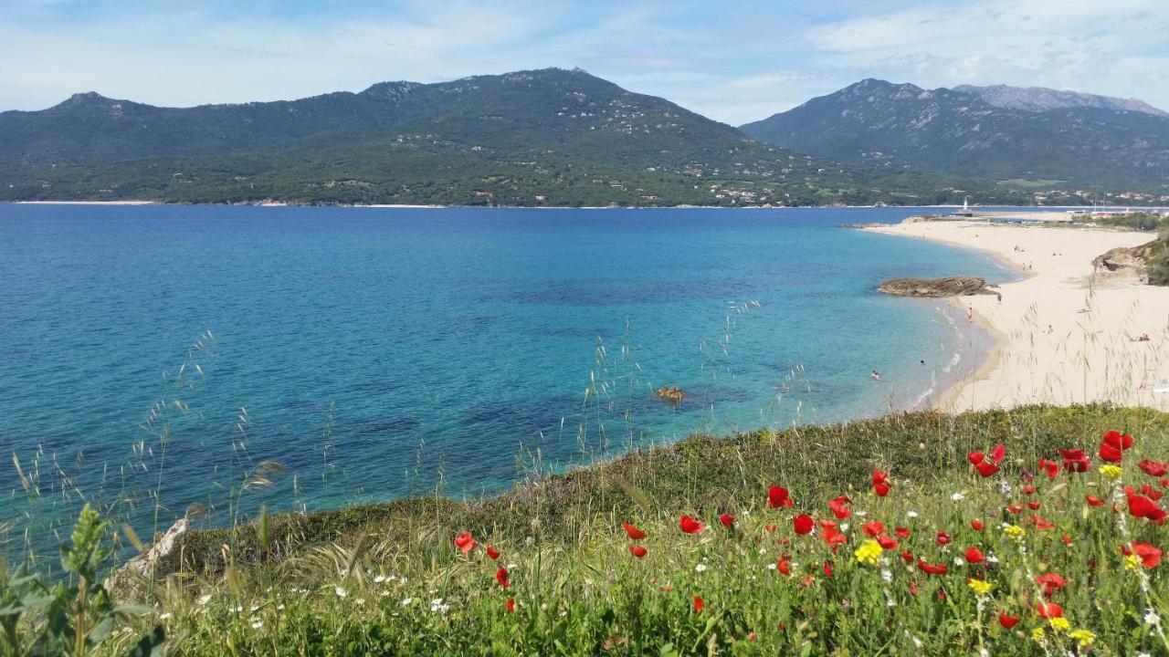 Studio T1 Bis Vue Mer Propriano Propriano  Kültér fotó